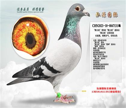 �������C�����OX�������C��ֱ�OŮ