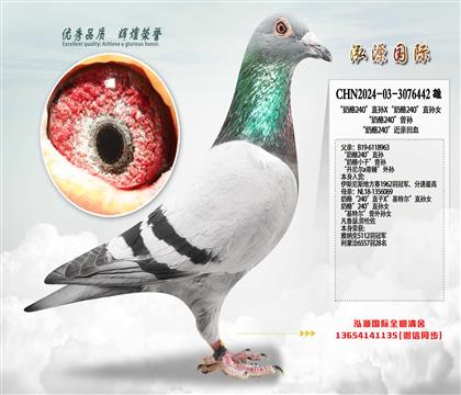 ������240��ֱ�OX������240��ֱ�OŮ