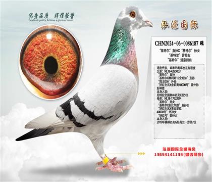 �����ؠ���ֱ�OX�����ؠ����OŮ