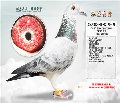 ���û���ֱ�OX���û���ֱ�OŮ