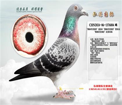 ���W��ƥ��003��ֱ�OX���W��ƥ��003�����OŮ