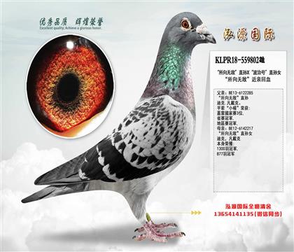 �_����ِ��  ������o����ֱ�OX������o����ֱ�OŮ