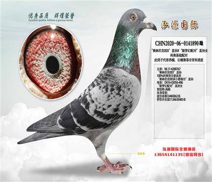 ���W��ƥ��003��ֱ�OX�������䌦��ֱ�OŮ