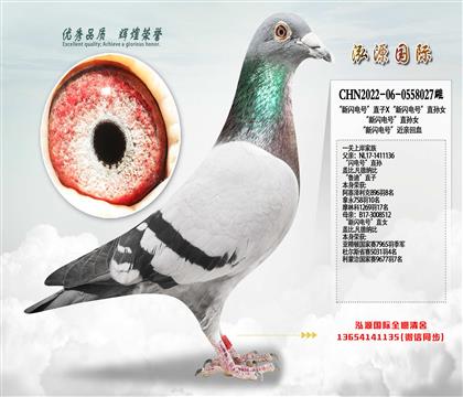 һ�P�ϰ� ���W�̖��ֱ�OX�����W�̖��ֱŮ