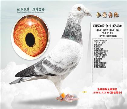 ����ţȮ��ֱ��X����ţȮ��ֱŮ