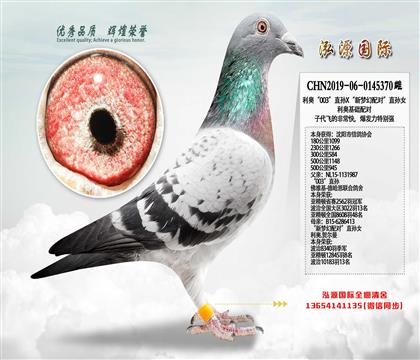 ���W��003��ֱ�OX�������䌦��ֱ�OŮ