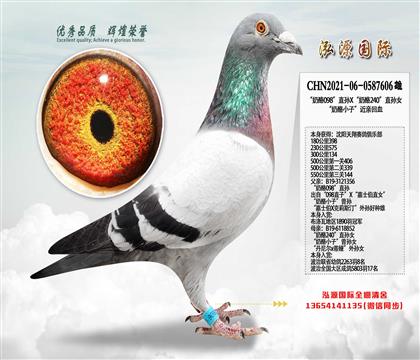 550����144 ������098��ֱ�OX������240��ֱ�OŮ