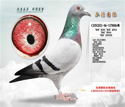 �����ϡ�ֱ�OX�����ϡ�ֱ�OŮ