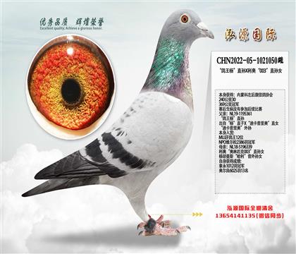 400�����܊ �������ֱ�OX���W��003��ֱ�OŮ