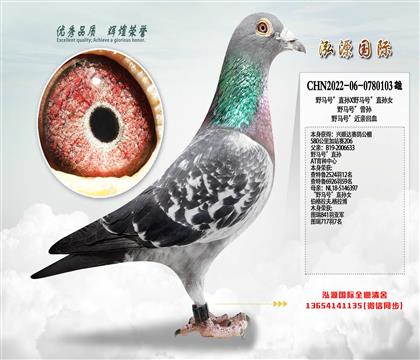 ��վِ206 Ұ�R̖��ֱ�OXҰ�R̖��ֱ�OŮ