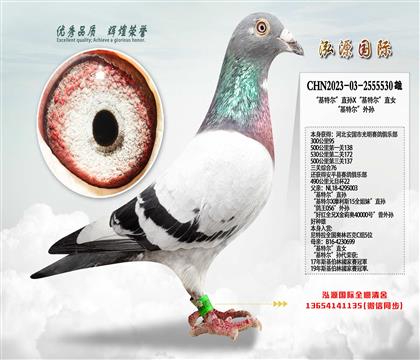 ���P�C��76 �����ؠ���ֱ�OX�����ؠ���ֱŮ