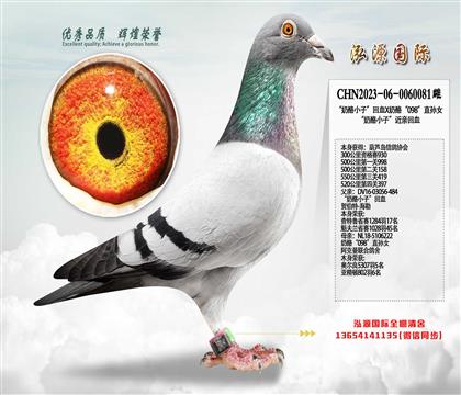 �Ĵ�500���� ������С�ӡ���ѪX���ҡ�098��ֱ�OŮ