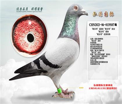 ���W���WԪ̖��ֱ�OX���WԪ̖���OŮ