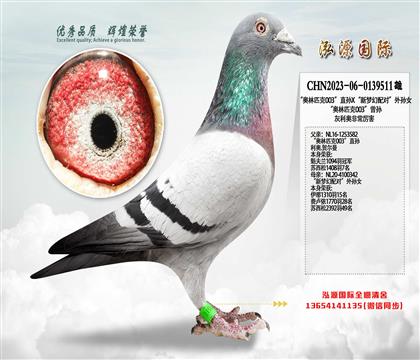 ���W��ƥ��003��ֱ�OX�������䌦����OŮ