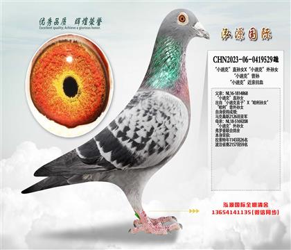 ��С�Ͽˡ�ֱ�OŮX��С�Ͽˡ���OŮ