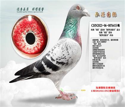 ���W��003��ֱ�OX�������䌦��ֱŮ