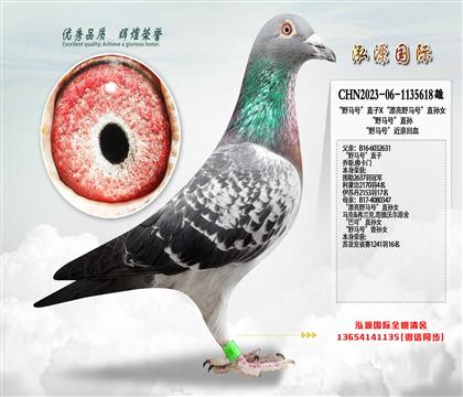 ��Ұ�R̖��ֱ��X��Ư��Ұ�R̖��ֱ�OŮ