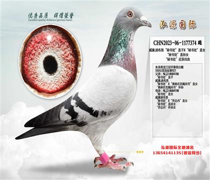 ����.�ϲ������ؕ�̎��ֱ��X���ؕ�̎��ֱŮ