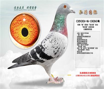 ���W������OX��������OŮ