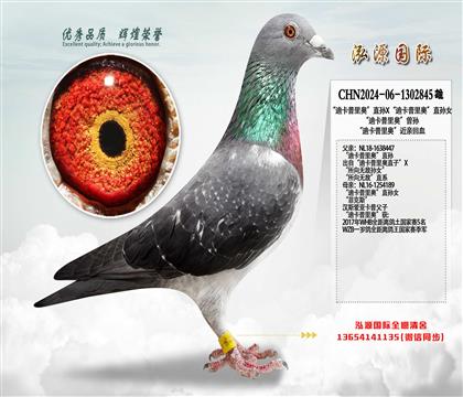 ���Ͽ�����W��ֱ�OX���Ͽ�����W��ֱ�OŮ