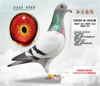 �p�_���Ӵ� ������098��ֱ�OX������098��ֱ�OŮ