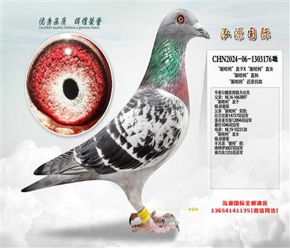 ���¹�����ֱ��X���¹�����ֱŮ