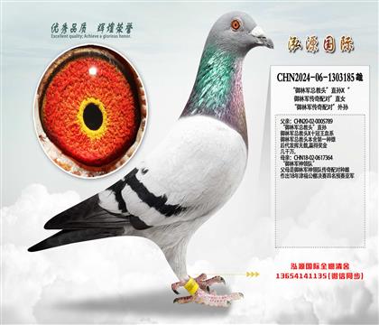 ������܊�����^��ֱ�OX������܊�����䌦��ֱŮ