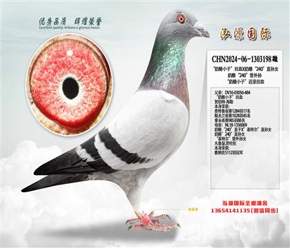 ������С�ӡ���ѪX���ҡ�240��ֱ�OŮ