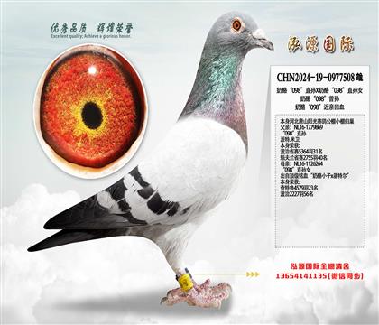 ��ɽꖹ�С��w�� ���ҡ�098��ֱ�OX���ҡ�098��ֱ�OŮ