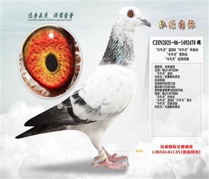 ����ţȮ��ֱ�OX����ţȮ����OŮ