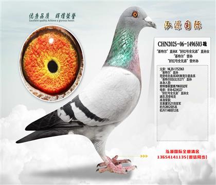 �����ؠ���ֱ�OX���üt̖ȫ�ֵܡ�ֱ�OŮ