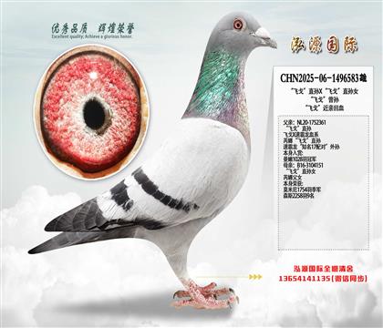 ���w�ꡱֱ�OX���w�ꡱֱ�OŮ