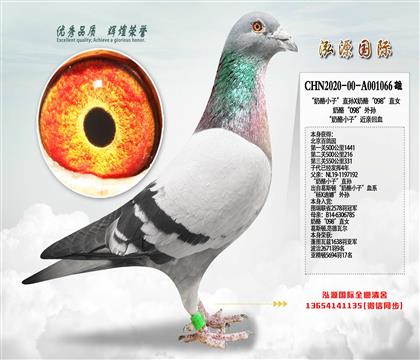 �����@  550����331  ���ҡ�098����O