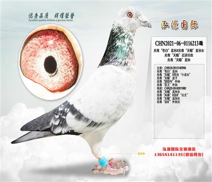 �����n�ס�ֱ�OX�������n��ֱ�OŮ