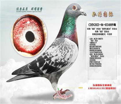 ���W��003����OX����(m��ng)���䌦(du��)����OŮ