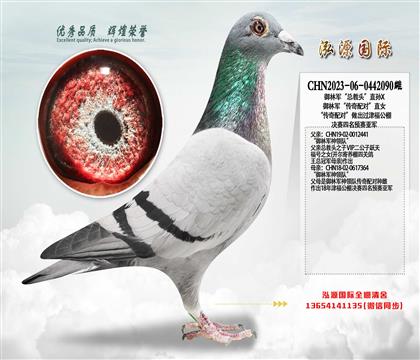 ����܊�������^��ֱ�OX����܊�������䌦(du��)��ֱŮ