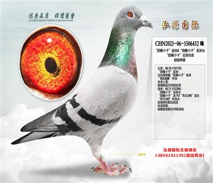 ������С�ӡ�ֱ�OX������С�ӡ�ֱ�OŮ