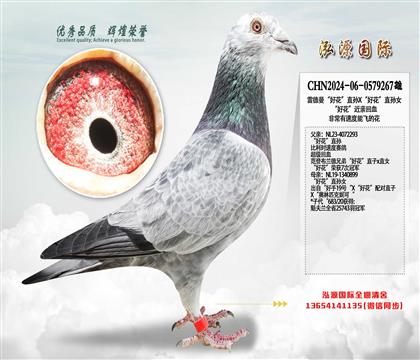 �׵������û���ֱ�OX���û���ֱ�OŮ