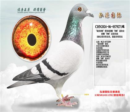 �����098�����OX���ҡ�098��ֱ�OŮ