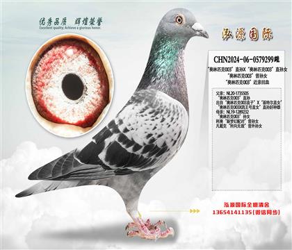 ���W��ƥ��003��ֱ�OX���W��ƥ��003��ֱ�OŮ