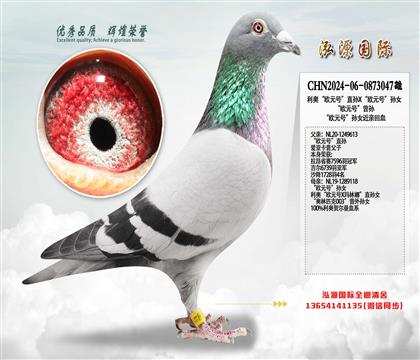 ���W���WԪ̖(h��o)��ֱ�OX���WԪ̖(h��o)���OŮ