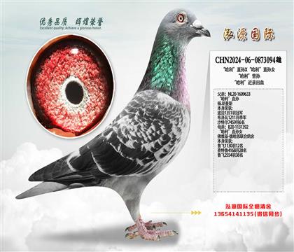 ��������ֱ�OX��������ֱ�OŮ