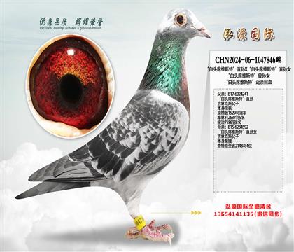 �����^ϯ�S˹�ء�ֱ�OX�����^ϯ�S˹�ء�ֱ�OŮ