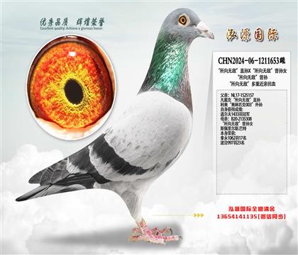 ������o(w��)����ֱ�OX������o(w��)�������OŮ