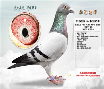 ��.�W�߿ˡ�483����OX��483̖(h��o)�����OŮ