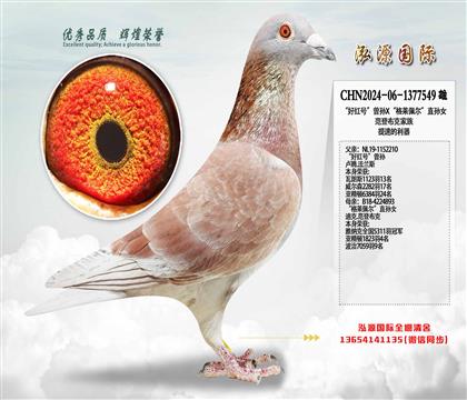 ���üt̖(h��o)�����OX�����R�堖��ֱ�OŮ