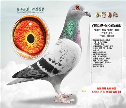 ��С�Ͽˡ�ֱ�OX��С�Ͽˡ�ֱ�OŮ