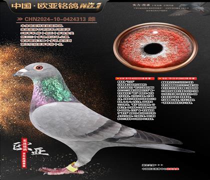 ղɭԭ�ᡰ����̖��131XֱŮ653