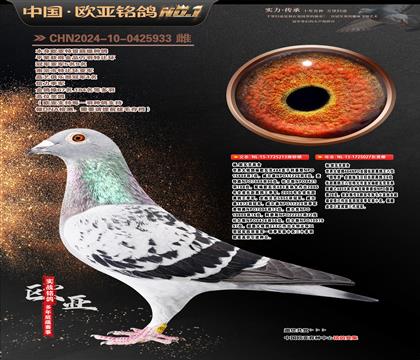 ��.�W�߿�ԭ��484ֱ��213X�������ߡ�027