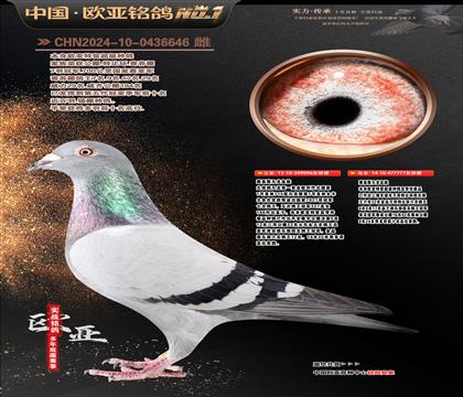 ·��˹����Ѫ�y(t��ng)996X777ͬ����ĸ���H